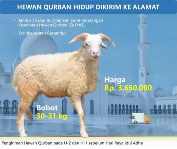 Kurban - Qurban Domba  pulomerak